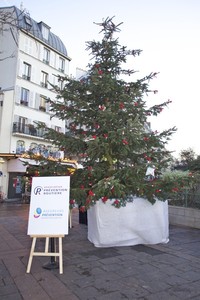 Rentrerenvie_sapin2011_large