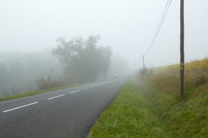 Petite route dans brouillard d'automne
