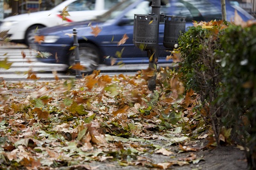 Feuilles d'automne près passage piéotns 