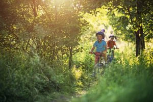 Balade à vélo été 