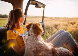 Chien en voiture avec passager