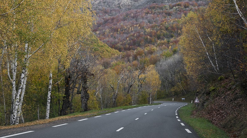 Route en automne