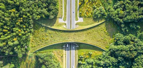 Ecopont sur autoroute pour faune sauvage