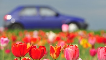 Voiture au printemps